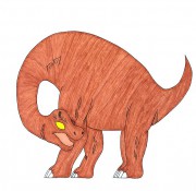 06